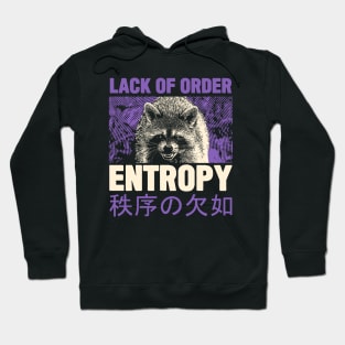 Entropy Raccoon Hoodie